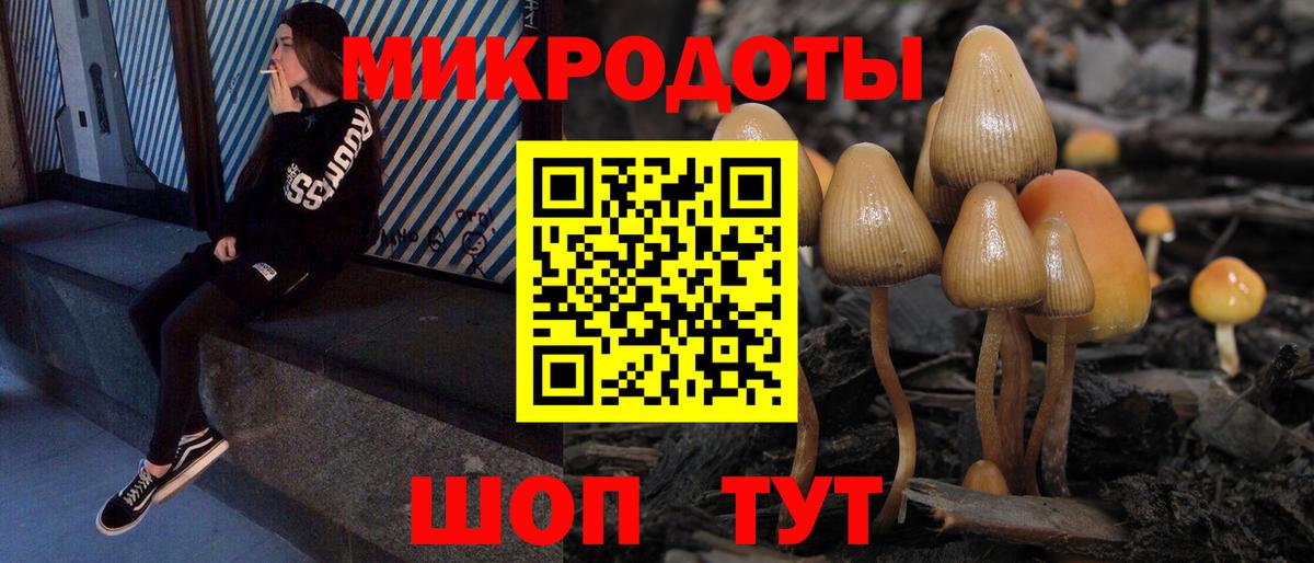 Псилоцибиновые грибы Magic Shrooms  Вход с VPN  Вязники 
